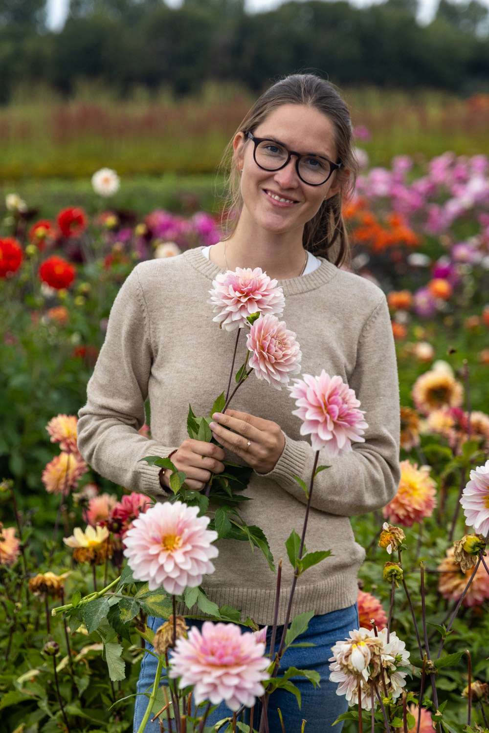 Dahlia 'Glossy Annika'